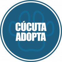 cucuta adopta